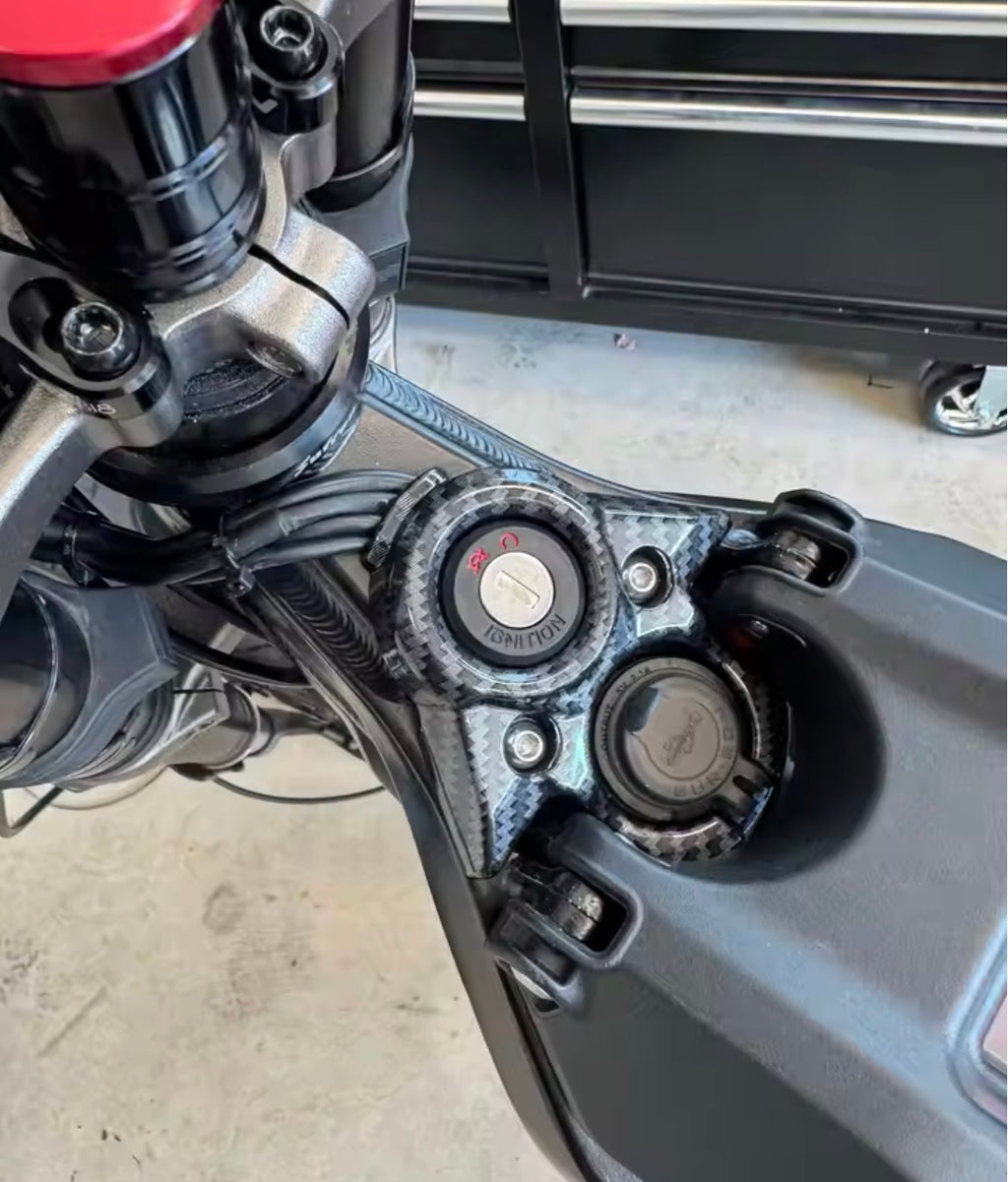 carbon fiber parts for Surron Light Bee